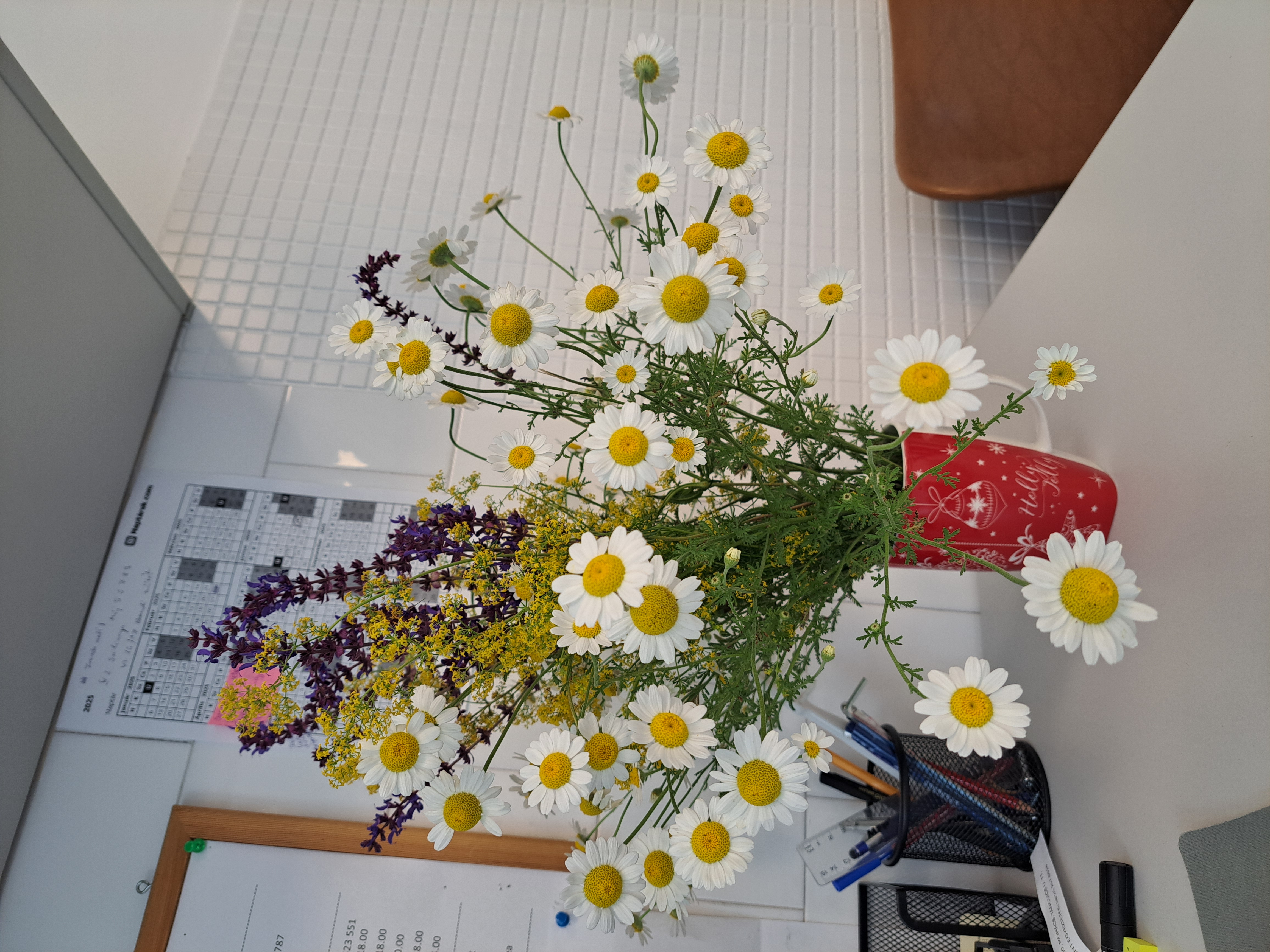 Pataki Dent Kft. – fogászati rendelő